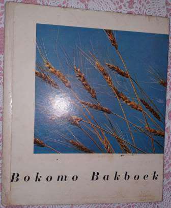Bokomo Bakboek