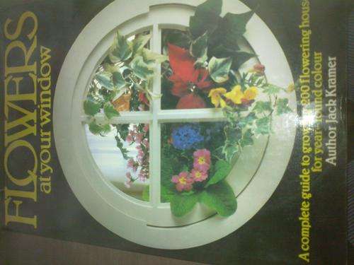 Flowers at your Window by Jack Kramer