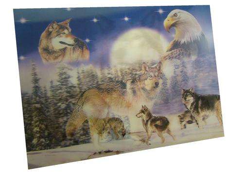 PACK OF 6 WOLVES/EAGLE 3D PLACEMATS