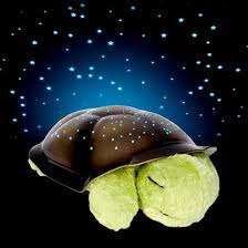 TURTLE WITH NIGHT SKY CONSTELLATIONS