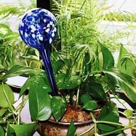 AQUA GLOBE - AUTOMATICALLY WATERS PLANTS FOR UP TOO 2 WEEKS