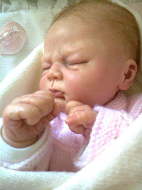Baby Ivy