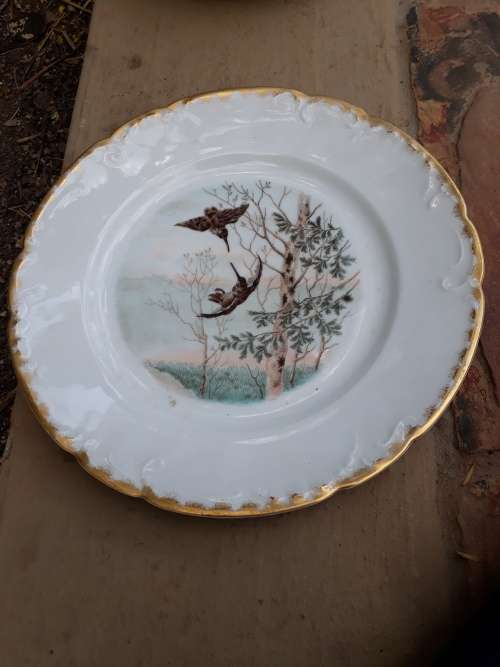 ALTHOUGH UNMARKED SEEMS GOOD QUALITY PORCELAIN DECORATIVE BIRD PLATE GILT TRIM 25CM