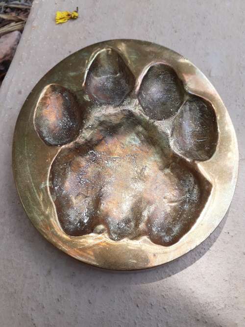 VINTAGE 1983 B.W. GENIS CAST BRASS AFRICAN LION SPOOR