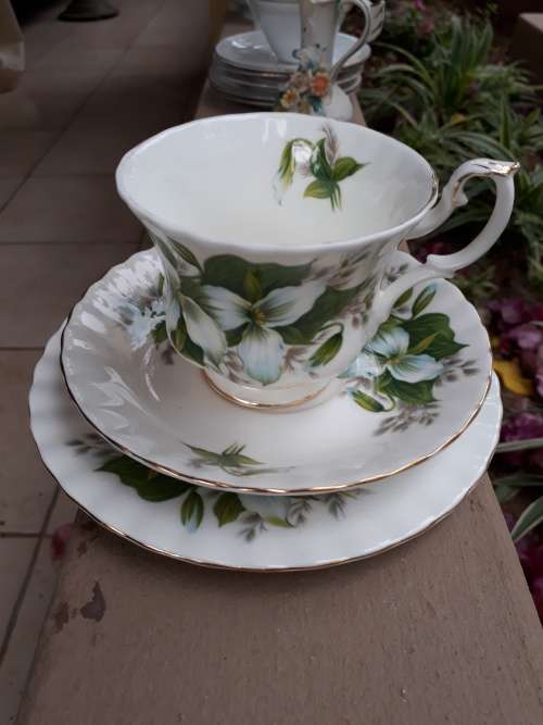 SUMMERY WITH PIZZAZZ VINTAGE ROYAL ALBERT TRILLIUM TEA TRIO GREEN & WHITE FLORAL WOW!