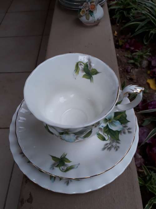 SUMMERY WITH PIZZAZZ VINTAGE ROYAL ALBERT TRILLIUM TEA TRIO GREEN & WHITE FLORAL WOW!