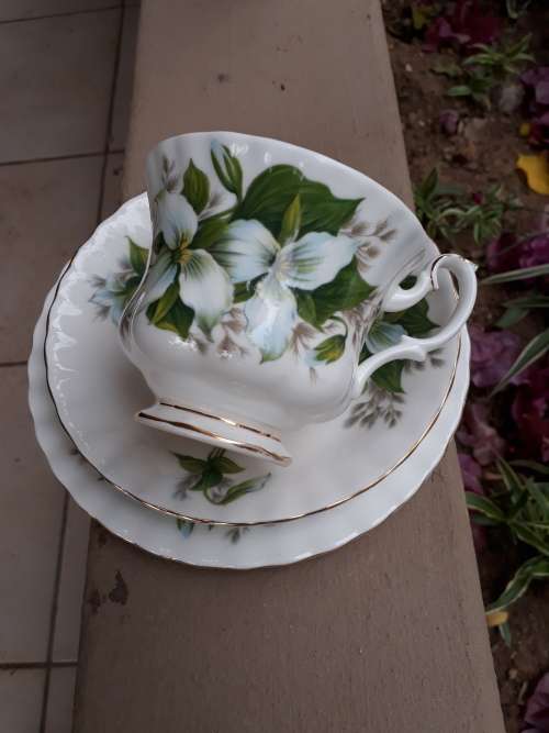 SUMMERY WITH PIZZAZZ VINTAGE ROYAL ALBERT TRILLIUM TEA TRIO GREEN & WHITE FLORAL WOW!