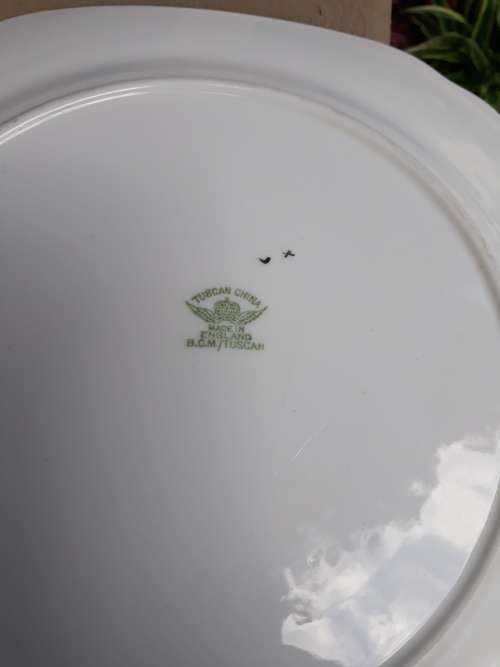 TUSCAN CHINA ENGLAND PARTIALLY HAND PAINTED VINTAGE CAKE SERVING PLATE FLORAL LEAF ++