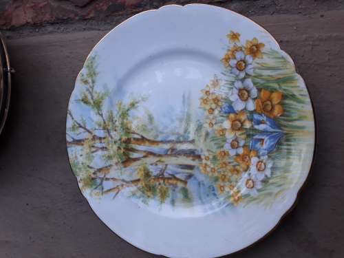 SHELLEY ENGLAND, FINE BONE CHINA SIDE PLATE 15CM, BEAUTIFUL DAFFODIL TIME GORGEOUS