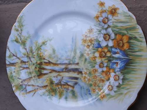 SHELLEY ENGLAND, FINE BONE CHINA SIDE PLATE 15CM, BEAUTIFUL DAFFODIL TIME GORGEOUS