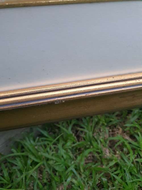 Very large framed gilt wood framed wildlife print impala etc