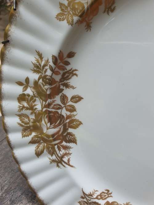 Vintage Royal Albert `Goldden Rose` dinner plate scalloped