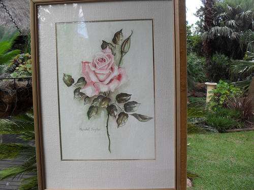 STUNNING, STUNNING & STUNNING BEAUTIFULLY FRAMED & SIGNED WATERCOLOUR OF  PINK ROSE & BUDS