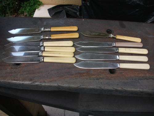 A MIXED LOT OF VARIOUS BONE HANDLED??? EP FISH KNIVES 2 ARE SILVER COLLARED TOTAL OF 11
