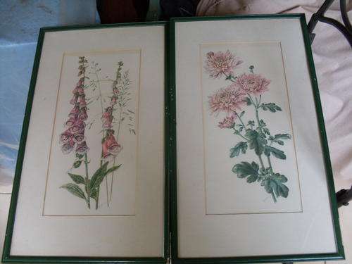 VINTAGE PAIR OF FRAMED BOTANICAL PRINTS. WALL FILLER