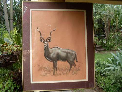 VINTAGE 1980  LARGE FRAMED, SIGNED BY ARTIST ORIGINAL PASTEL OF KUDU