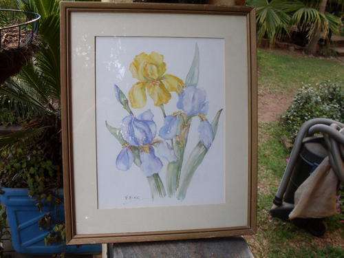 RATHER NICE ORIGINAL SIGNED P KING FRAMED  WATERCOLOUR OF IRISES