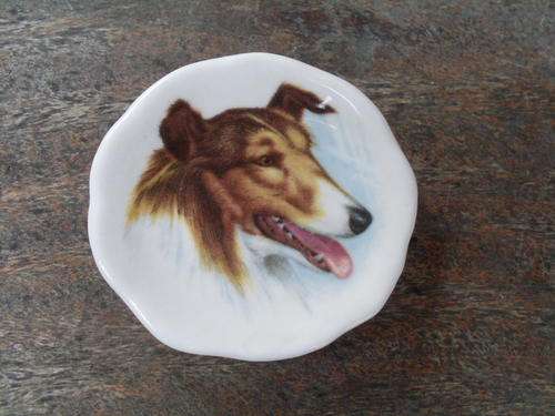 TINY FINE BONE CHINA PLATE MADE IN ENGLAND DECORATED WITH A COLLIE DOG