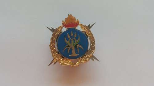 SAPS badge - Bomb disposal proficiency badge