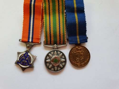 SAP miniature medal group