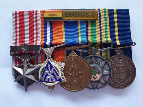 SAP medal group