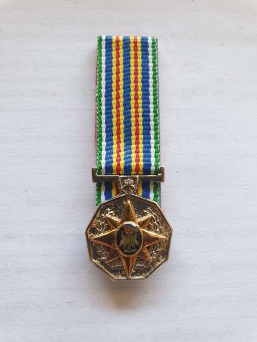 SAPS 30 year Loyal Service medal - miniature
