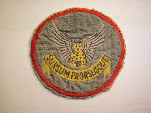 SAAF 2 squadron patch