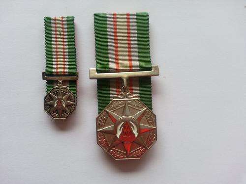 SARP - Star for Faithful Service - 20 years