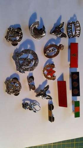 Collection of old SADF badges and insignia