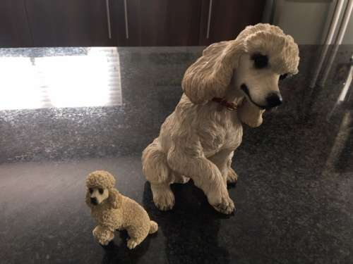 Poodle Dogs by Country Artists - for the discerning 02614