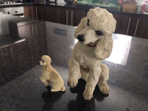 Poodle Dogs by Country Artists - for the discerning 02614