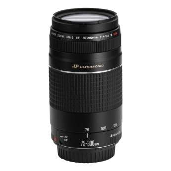Canon Zoom Lens EF 75-300mm 1:4-5.6 III USM