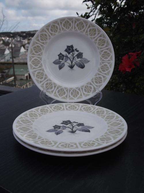 Tuscan Made in England "Wild Strawberry" Fine Bone China Side Plates x3, 1 Bid for All