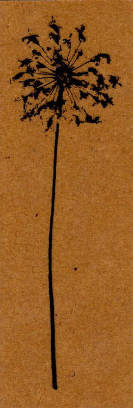 G058