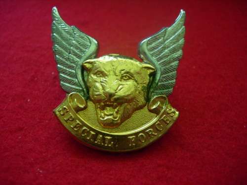 TRANSKEI SPECIAL FORCES CAP BADGE