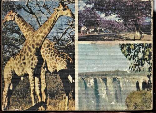 THIS IS RHODESIA  by PHILLIPPA BERLYN