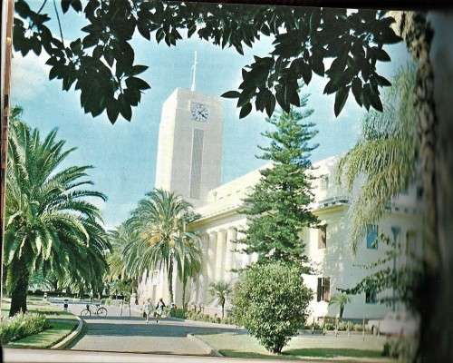 THIS IS RHODESIA  by PHILLIPPA BERLYN