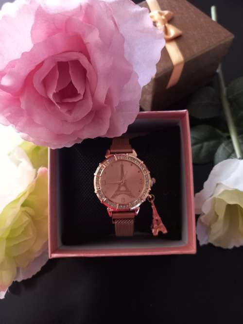Ladies Paris Watch