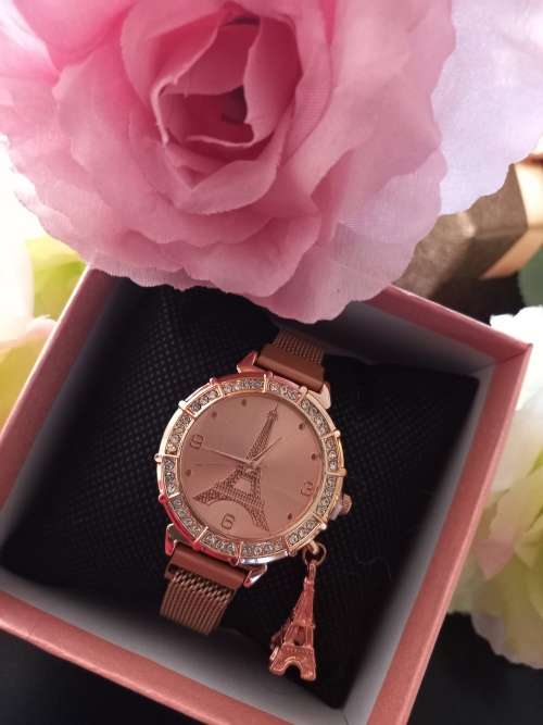 Ladies Paris Watch