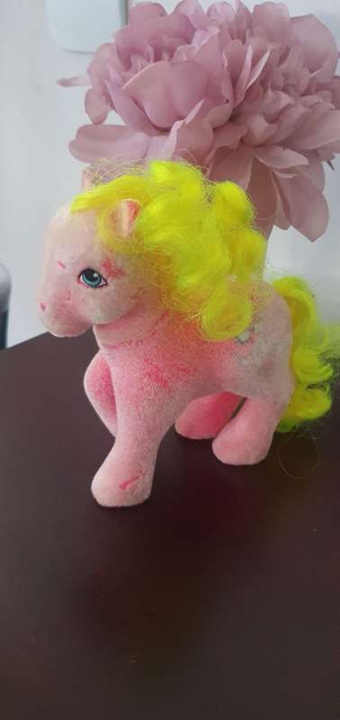 My Little Pony G1 Shady