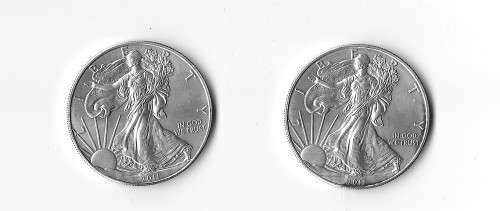 American Silver Eagle!