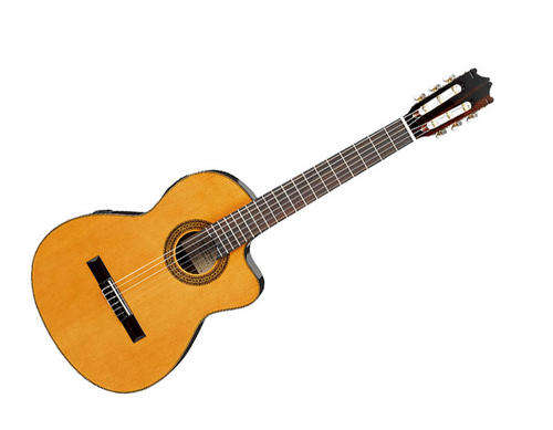 Classical Guitar with Cutaway and Full EQ -Ibanez  G5ECE - Brand New!