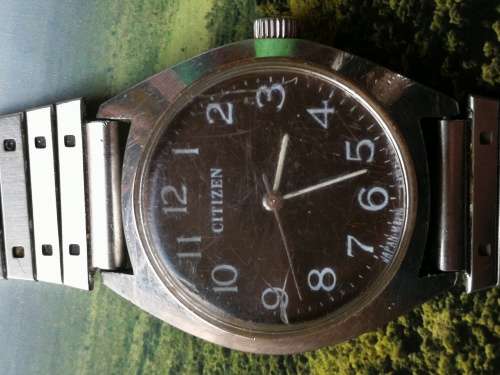 Citizen Manual Watch