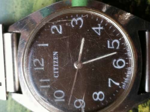 Citizen Manual Watch