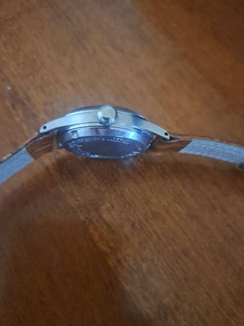 Eterna Automatic Bumper
