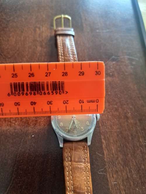 Eterna Automatic Bumper