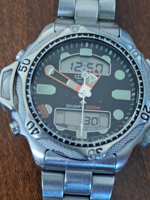 Citizen Divers Watch