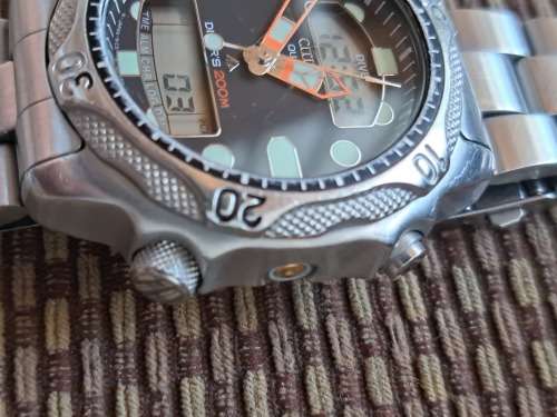 Citizen Divers Watch