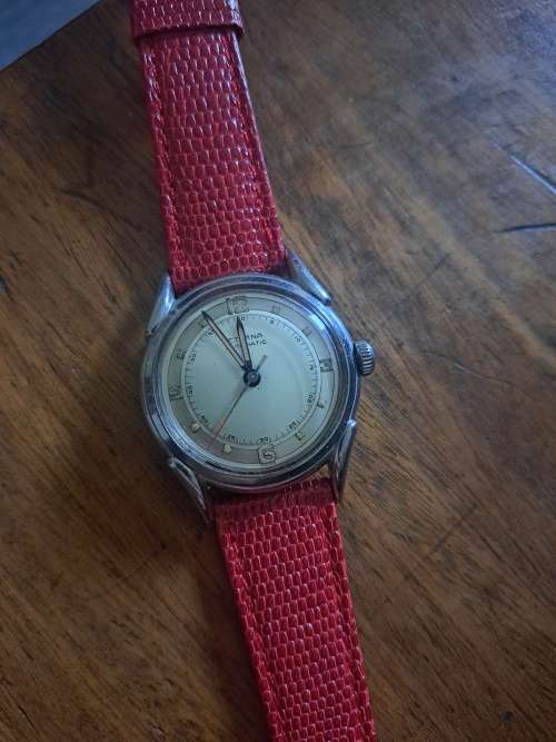 Eterna Automatic Bumper