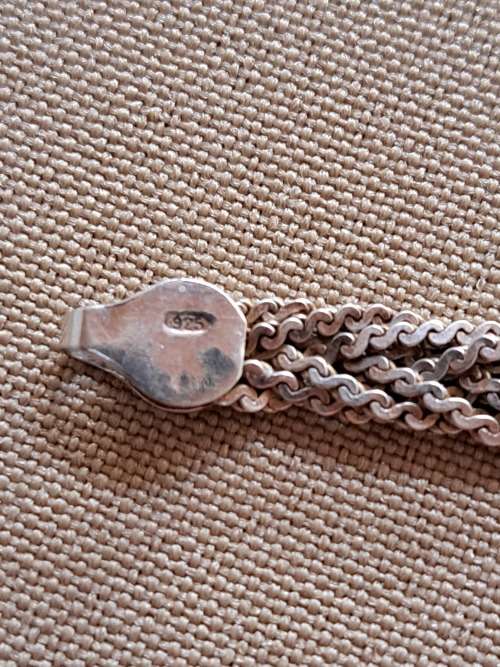 Silver Chain